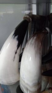 CUERNO vikingo en botella