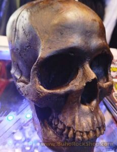 Calavera de ceramica al frio