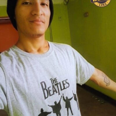 THE BEATLES Love gris