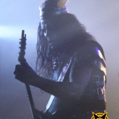 cuerno vikingo con cuernos