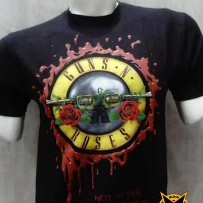 guns n roses not in this lifetime mapr b