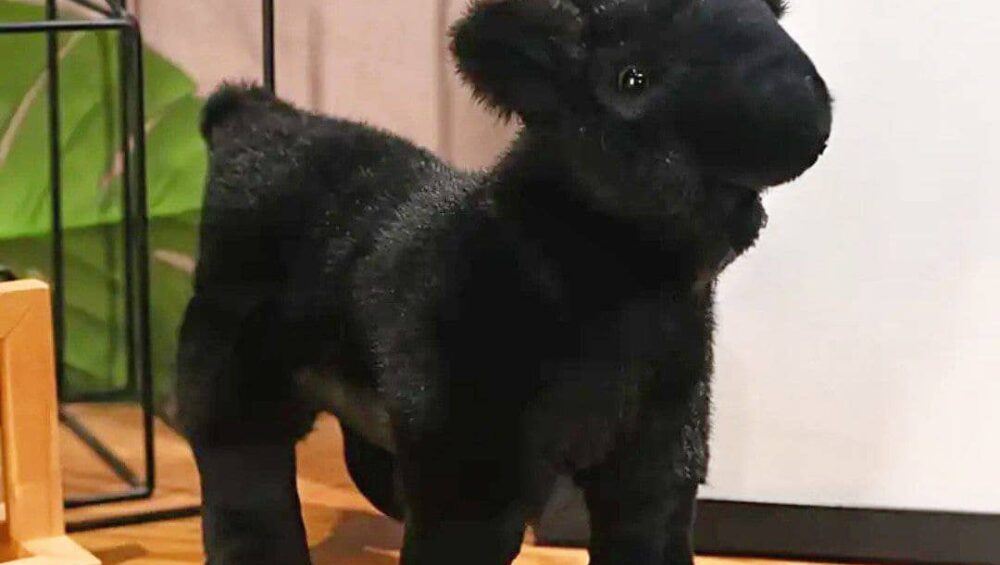 peluche de cabra
