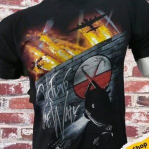 pink floyd the wall aviones