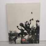 La Segunda Guerra Mundial Victoria en Europa