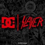 Zapatillas SLAYER DC Shoes
