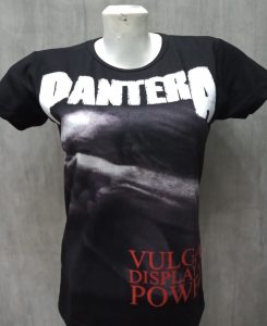PANTERA vulgar display of power