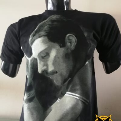 queen freddie mercury