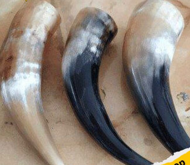 Pequeño cuerno vikingo